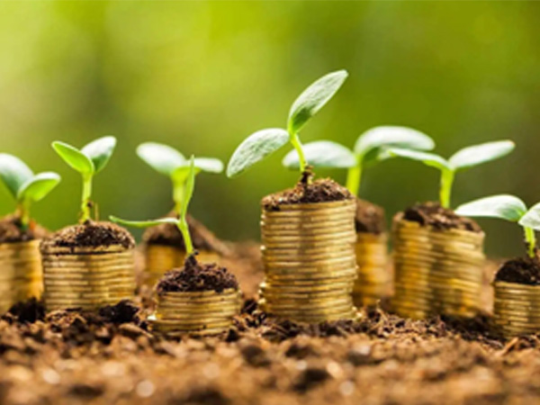 以投資名義借錢是否構成詐騙?